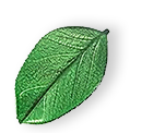 https://beta.will-hahnenstein.de/wp-content/uploads/2025/07/floating_leaf_01.png